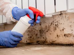 Best Mold Remediation for Vacation Homes  in Mountain View, AR